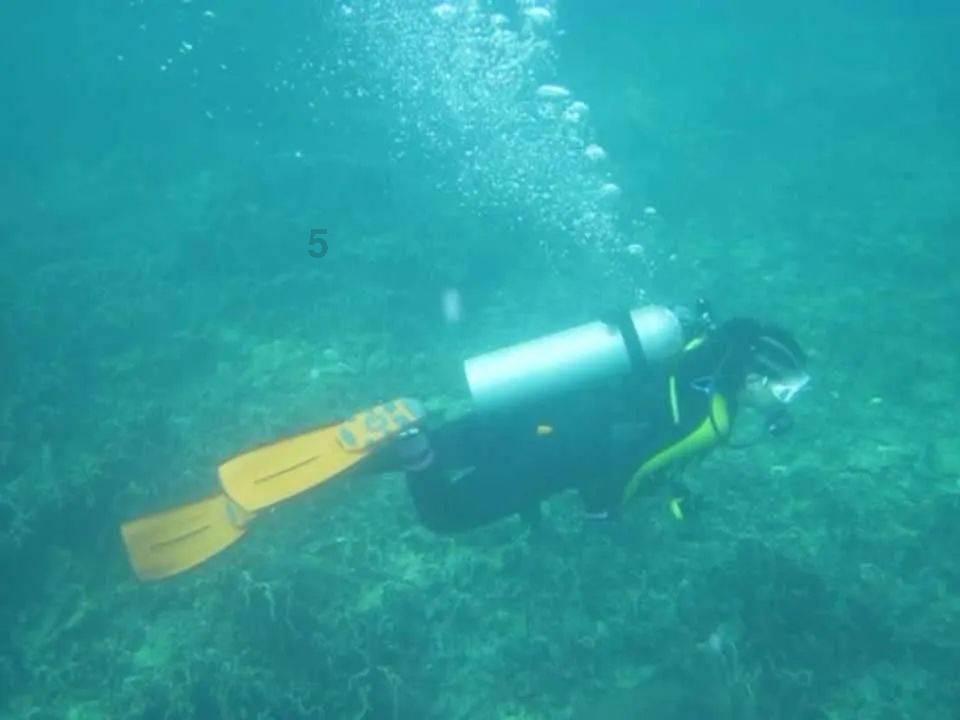 算24点游戏